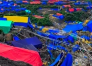 Penertiban Tambang Emas Gunung Botak Untuk Siapa