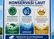 Tiga Pilar Konservasi Laut di Pulau Damer: Menjaga Laut Tetap Hidup, Menjamin Masa Depan Masyarakat Pesisir