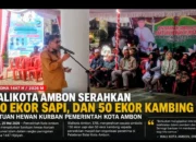 Pemkot Ambon Serahkan 150 Sapi dan 50 Kambing Kurban, Wali Kota Perbedaan Harus Jadi Kekuatan Orang Basudara