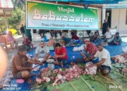 Heboh Warga Miskin Desa Buntongi “Menelan Ludah”, 3 Sapi Kurban di Masjid Babussalam Diduga Milik Kelompok Pribadi