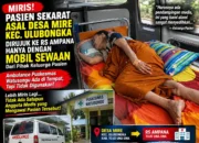 Miris pasien warga Desa Mire dirujuk ke RS Ampana pakai mobil sewaan, ambulans Puskesmas Watusongu disebut hanya terparkir