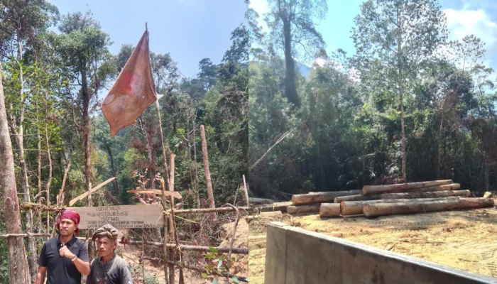 Masyarakat Adat Buru Selatan Tuduh PT. Wahana Lestari Berbohong, Minta Dinas dan Kementerian Kehutanan Cabut Izin Usaha
